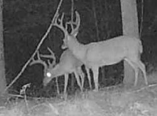 0 Downing Hollow Rd, Waynesboro, TN 38485