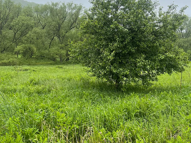Property pic