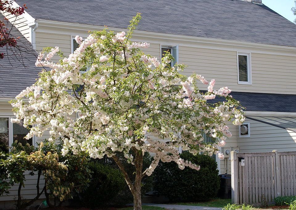 Beautiful landscaping