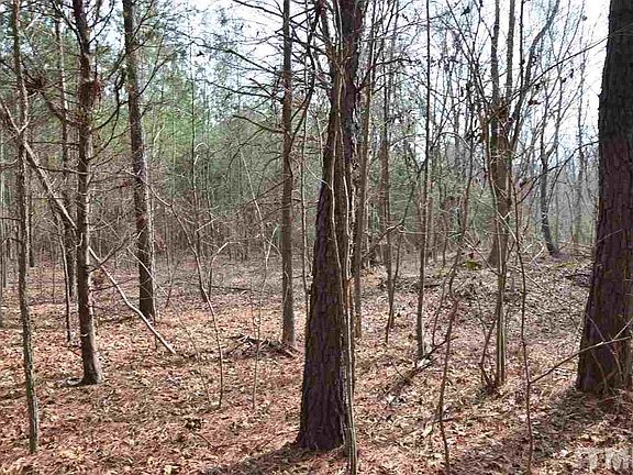 5th image of 610 Maple Springs Ln