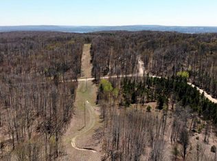 Clement Rd, Alanson, MI 49706