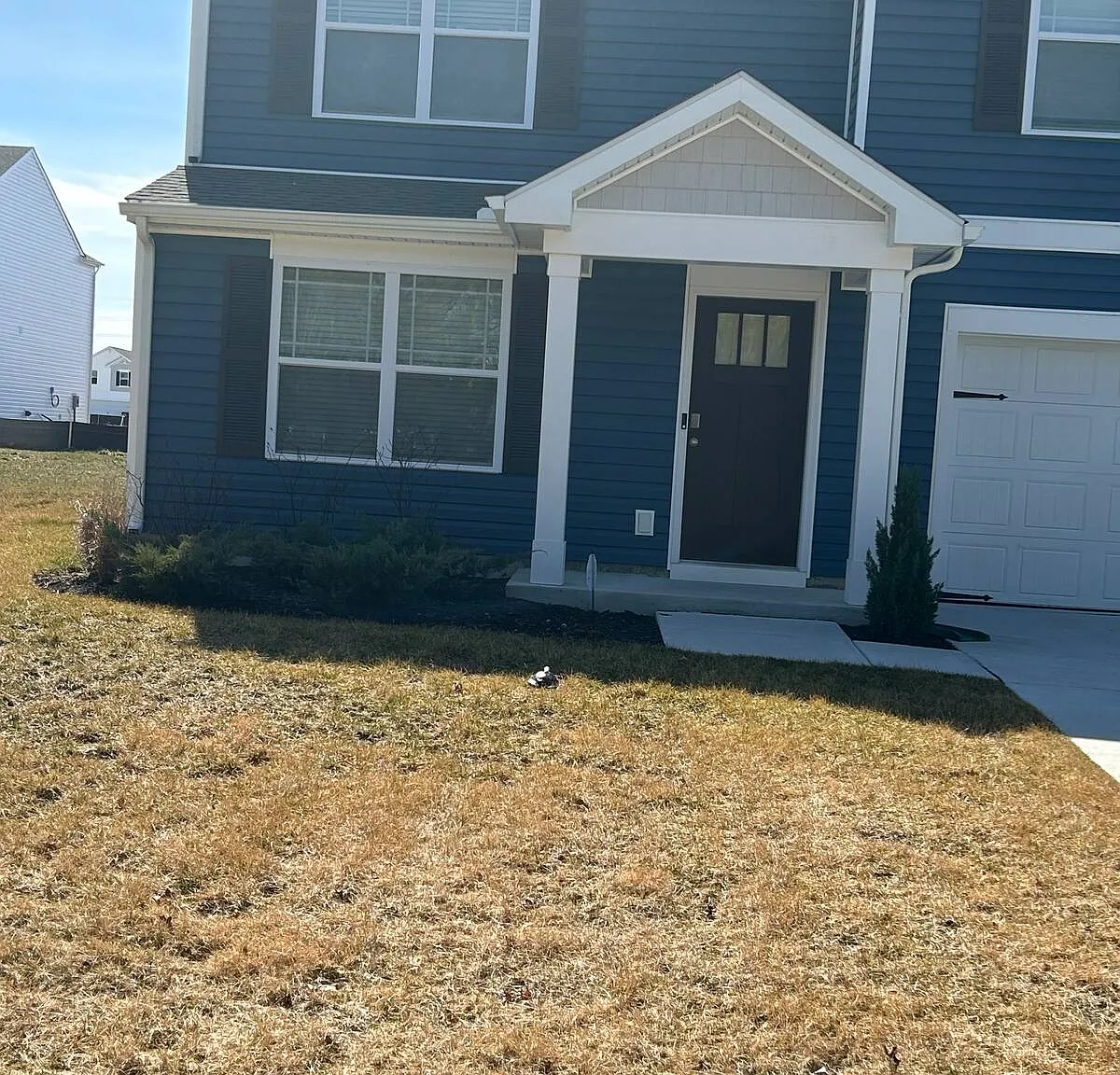 Terrapin Cir, Cambridge — Photo 4