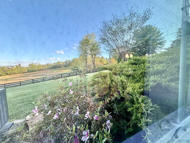 11015 Carriage Ln — Photo 23