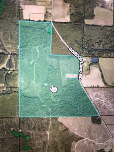 0 Gordon Land Rd, Milton, FL, 32570