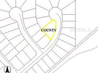 3882 Arborvitae Way, Deland, FL 32724
