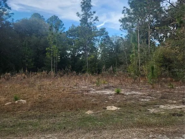 8203 W Baumgardner Ln #32, Crystal River, FL 34428