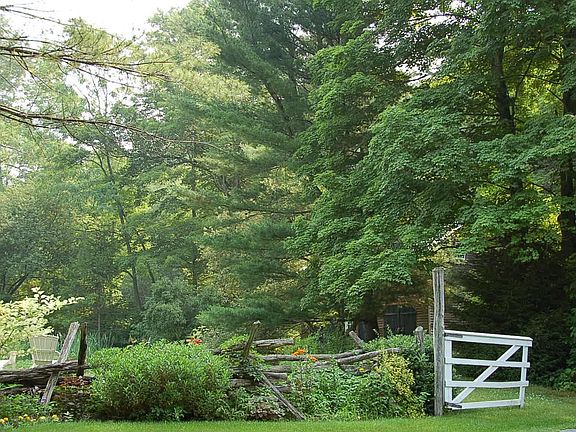 Lush Greenery and Gardens