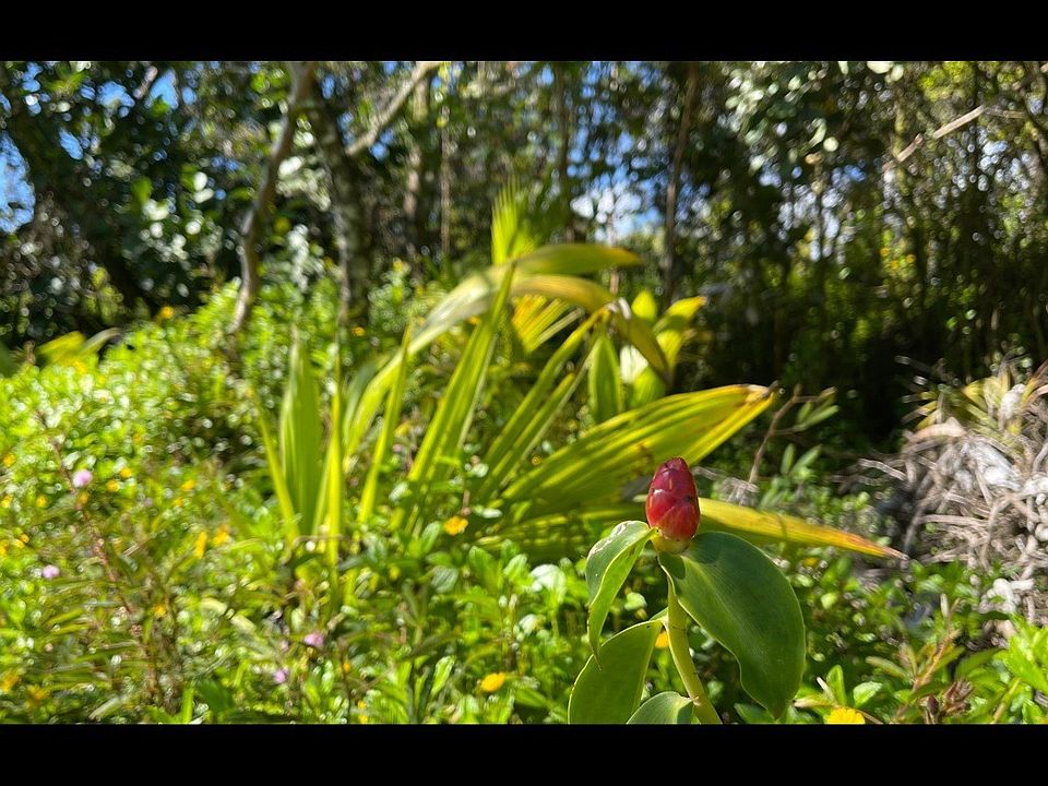 1st image of 5th Avenue Ekaha Lot 2405