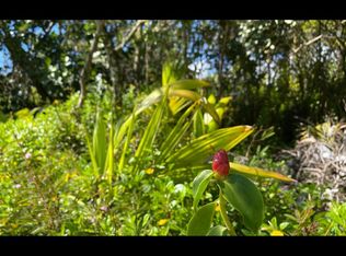 5th Avenue Ekaha LOT 2405, Keaau, HI 96749