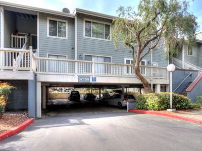 37155 Aspenwood Cmn APT 102, Fremont, CA, 94536