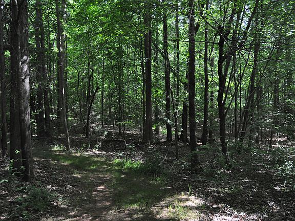 5th image of 208 Harvest Ln