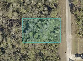 2109 McArthur Ave, Alva, FL 33920