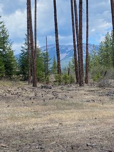 Nhn High Country Rd, Plains, MT, 59859