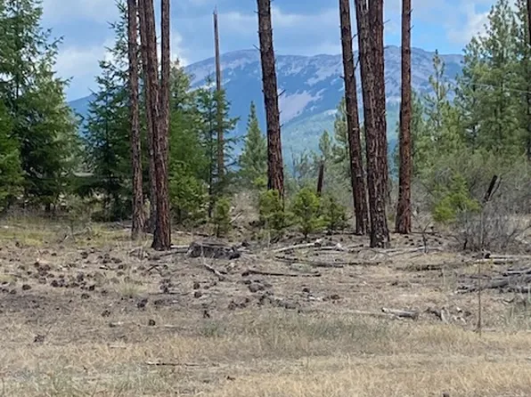 Nhn High Country Rd, Plains, MT 59859