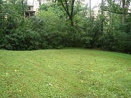 Large back yard