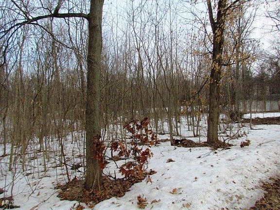 4th image of Wildwood Dr