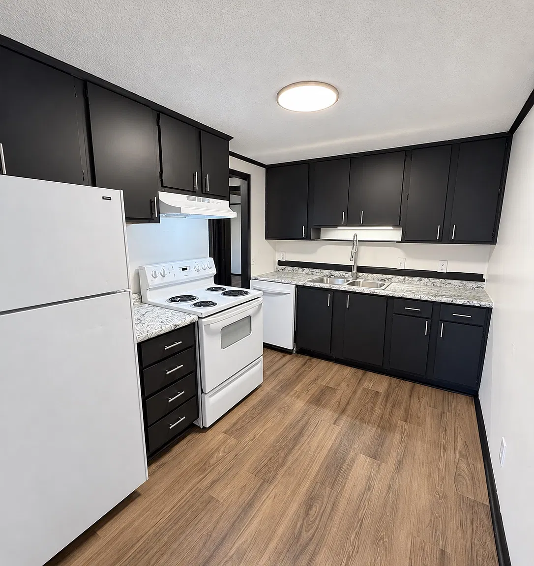 2 bed, $1,295 — Photo 1