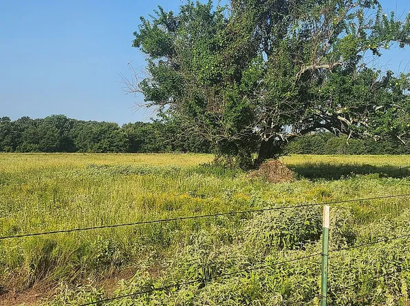 277 Private Road 5552, Alba, TX 75410