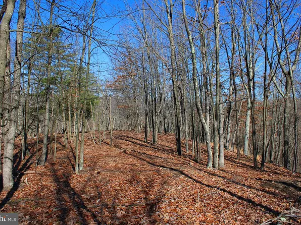 Caribou Dr, Points, WV 25437