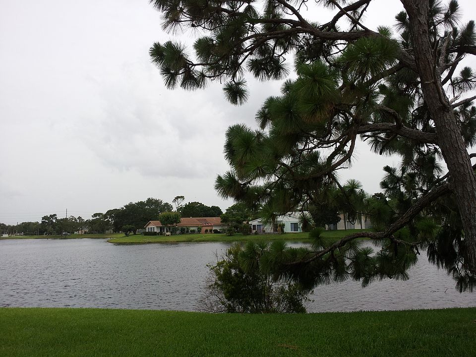 pond view