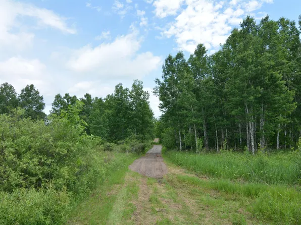 13247 130th Ave, Milaca, MN 56353