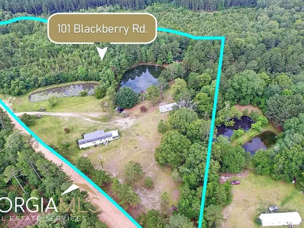101 Blackberry Rd, Swainsboro, GA 30401