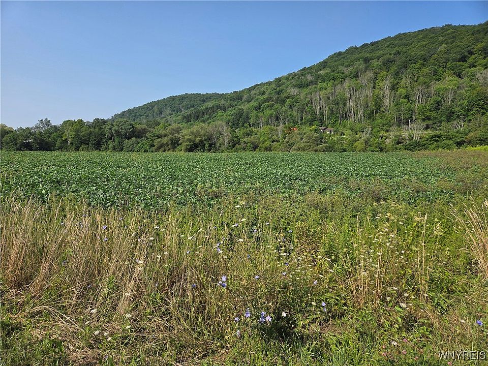 2nd image of Martin Rd