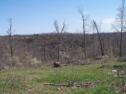 5th image of 942 Fee Hollow Trl