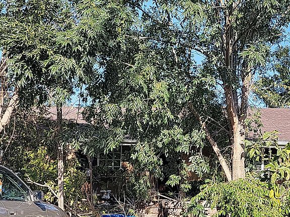 4th image of 548 Poinsettia Ave