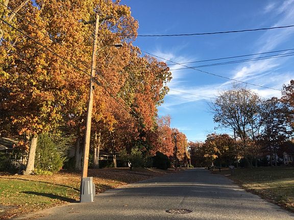 5th image of 2540 Bartholomew Dr