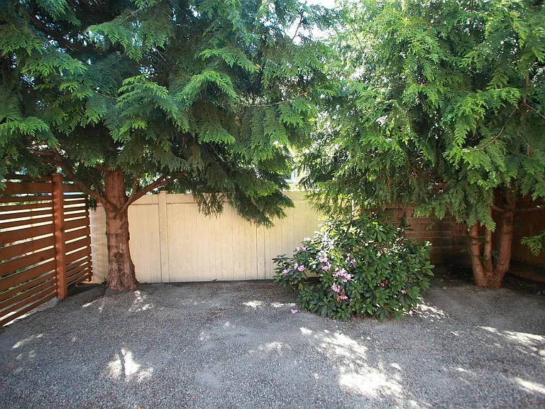 side yard