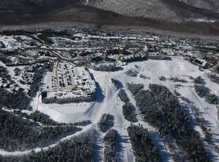 308 Mountain Ldg, Snowshoe, WV 26209
