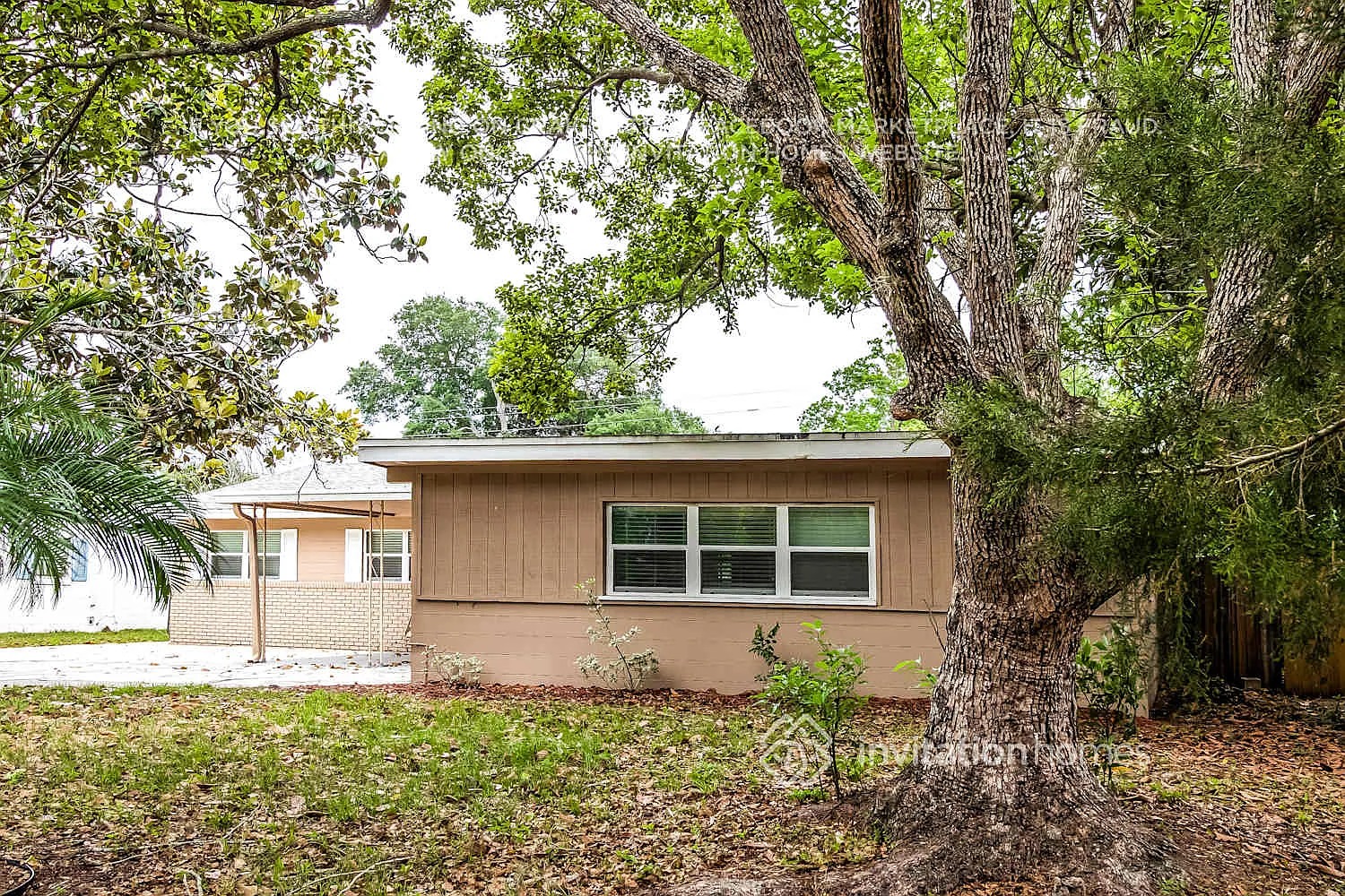 1546 Peruvian Ln Winter Park, FL 32792 — Photo 3