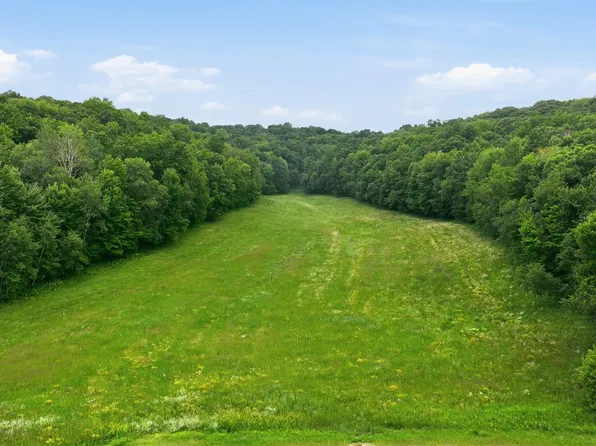 40 Acres County Road S, Wheeler, WI 54772