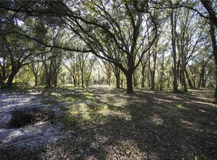 7401 Dormany Loop, Plant City, FL 33565