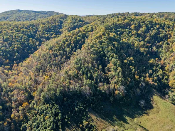 Tbd Lick Ridge Rd, Check, VA 24072