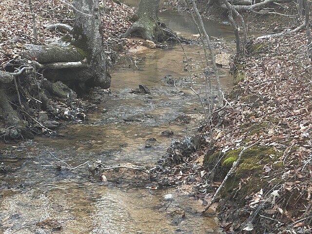 1st image of Coker Spur Rd