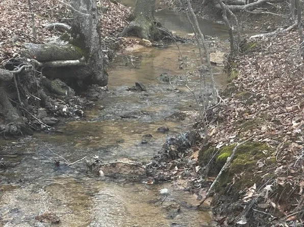 Coker Spur Rd, Red Bay, AL 35582