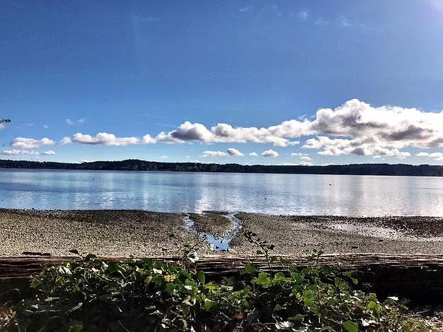 Waterfront area