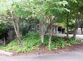 1st image of 957 Bristol Caverns Hwy