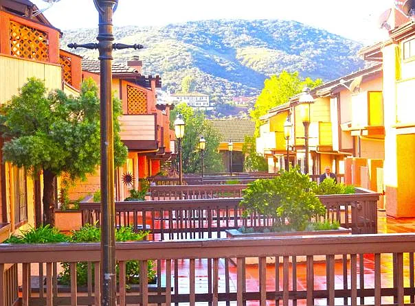 Agoura Carriage House LLC — Photo 4