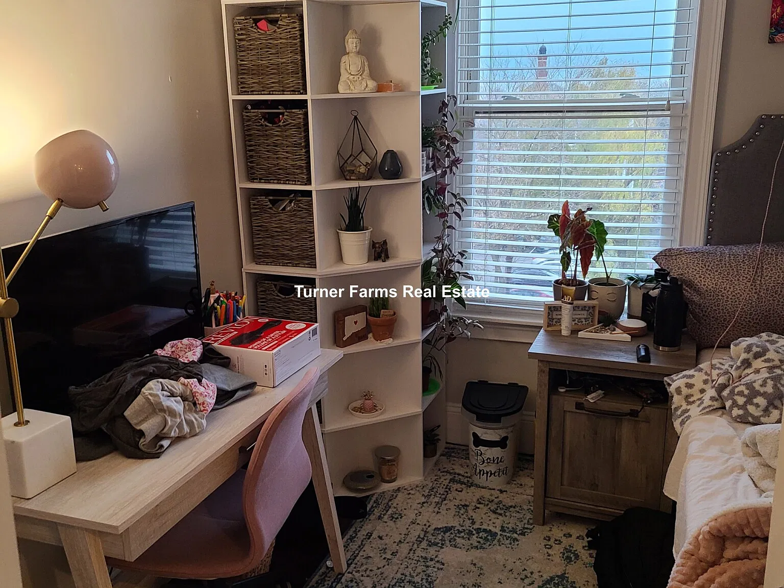 4 bed, 9999 sqft, $6,400 — Photo 3