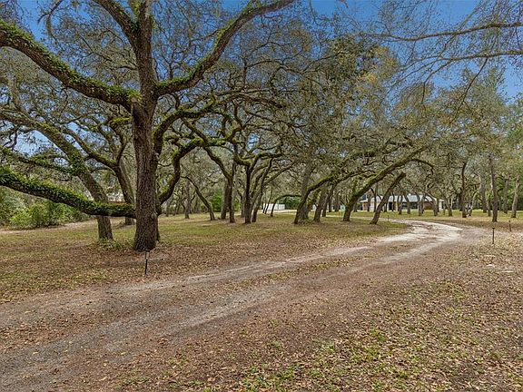 5th image of 13402 Peace Blvd