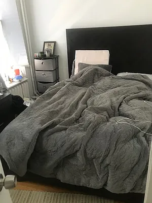 Rented by Aryeh Realty | media 14