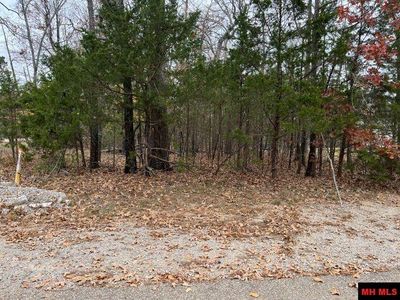 81 Ridgeview Dr, Mountain Home, AR, 72653