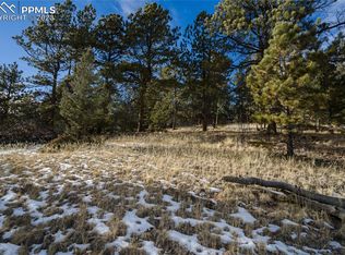 3142 N Mountain Estates Rd, Florissant, CO 80816