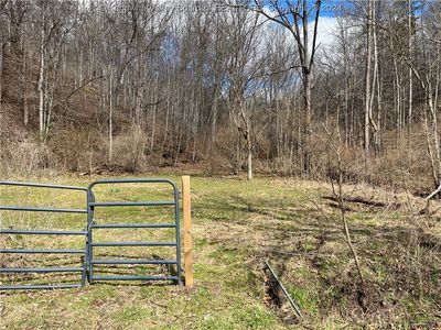 0 Tribble Rd, Leon, WV, 25123