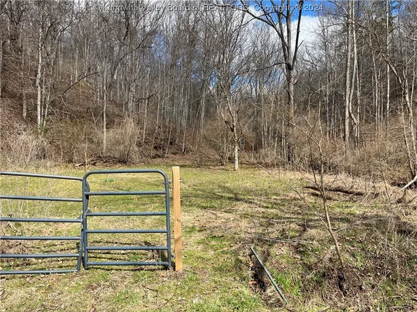 0 Tribble Rd, Leon, WV 25123