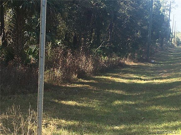 5th image of 9782 W Pomelo Ln