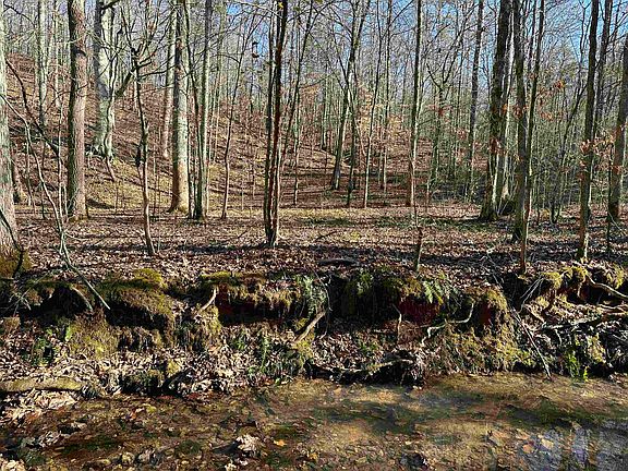 3rd image of 0 Cave Hollow Ln